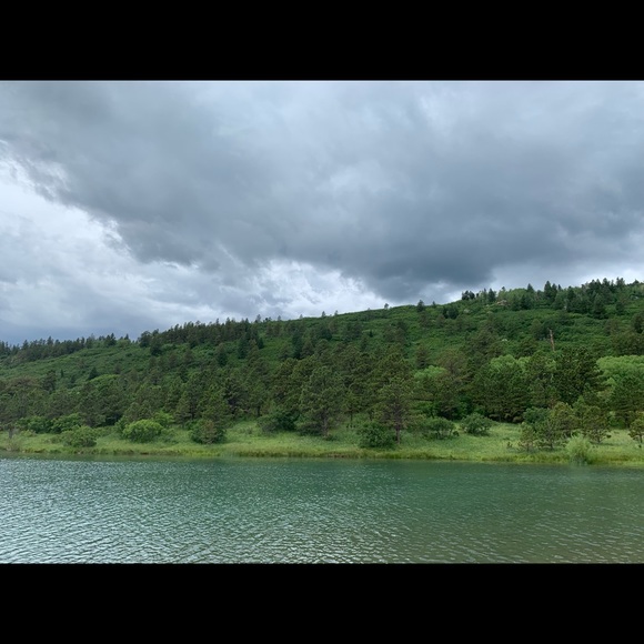 Meet your Posher, Shiva - Picture 1 of 1